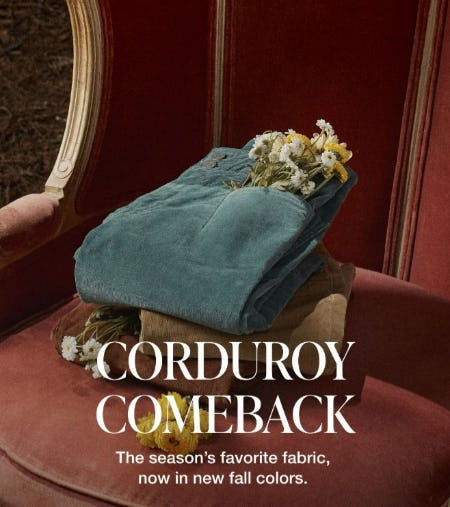 Conduroy Comeback from Lucky Brand Jeans