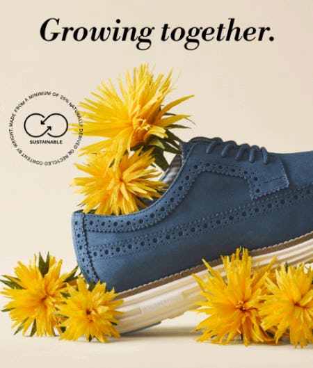 The Sustainable Collection from Cole Haan