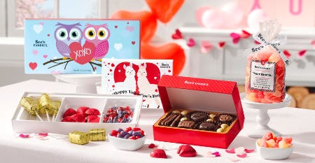 Gifts Kids Will Love from See's Candies