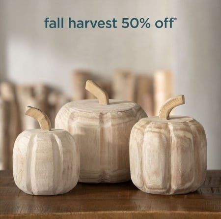 Fall Harvest 50% Off from Kirkland's