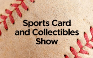 Lackawanna Sports Card and Comic Book Show