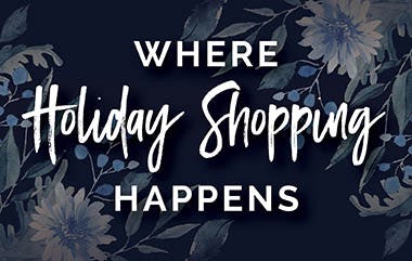 Holland Town Center ::: Holland ::: MI