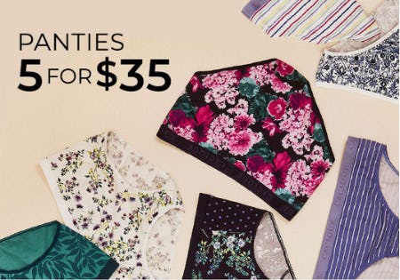 Panties 5 for $35 from Lane Bryant
