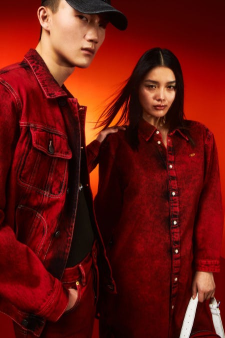 Year of the Tiger 2022 Chinese New Year Collection from Diesel