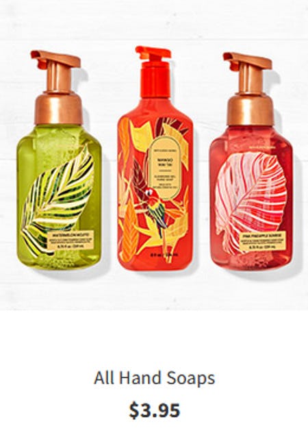 All Hand Soaps $3.95