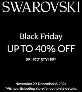 Black Friday Sale