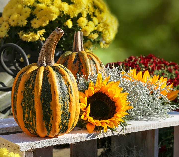 FALL MAKERS MARKET