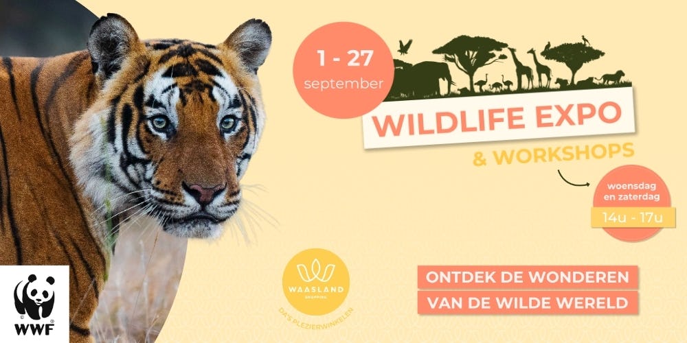 Wildlife Expo