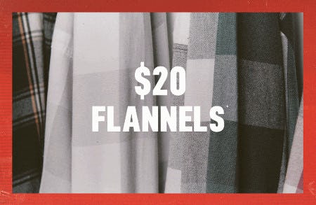 $20 Flannels from Hollister Co.