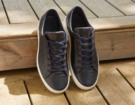 Sleek Sneakers for Summer Style from ECCO