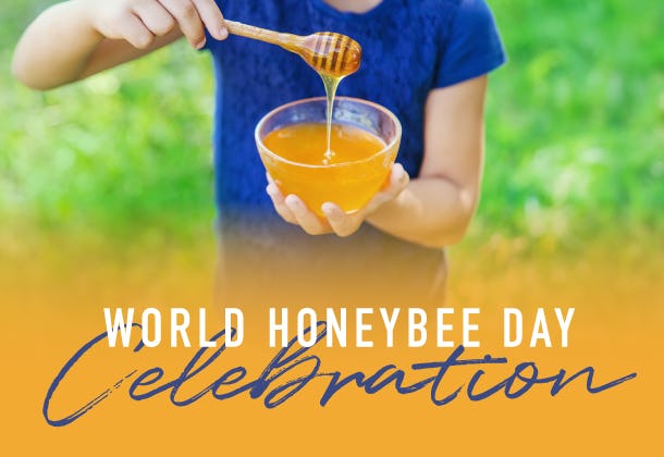 World Honeybee Day Celebration