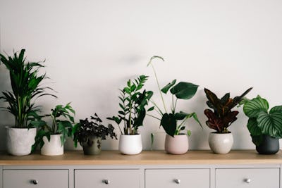 Eco-Friendly Home Upgrades: Sustainable Finds for a Greener Living Space