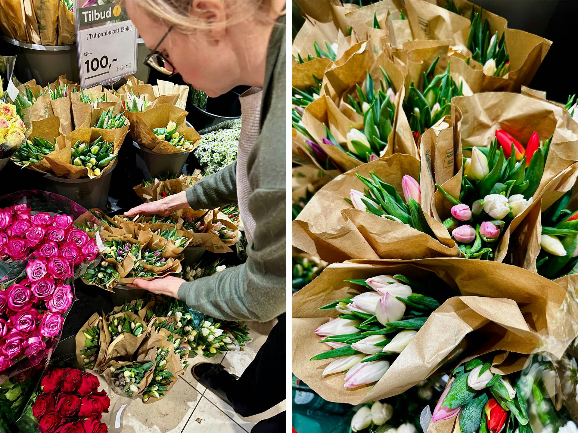 Tulipaner i de lekreste farger, dette er den mest populære blomsten vi har i Norge. 
